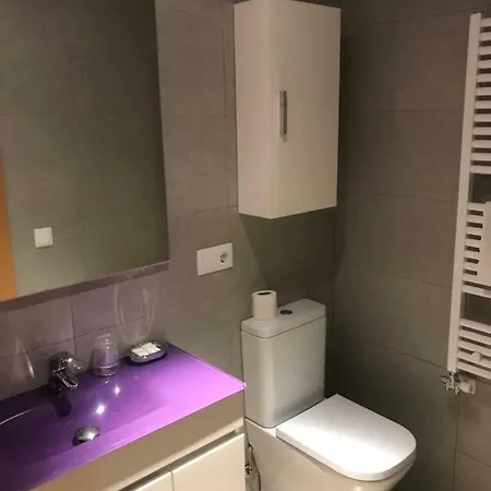 Ca L'albert Apartment Pobla de Segur